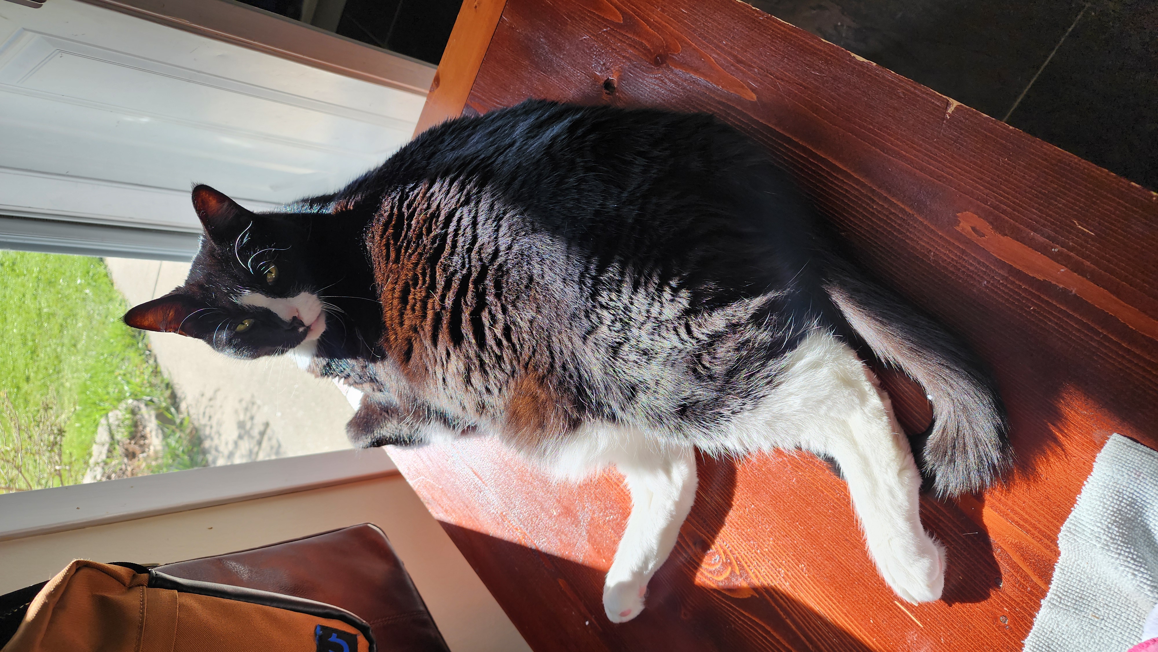 He loves to watch the critters Carl on his watching bench