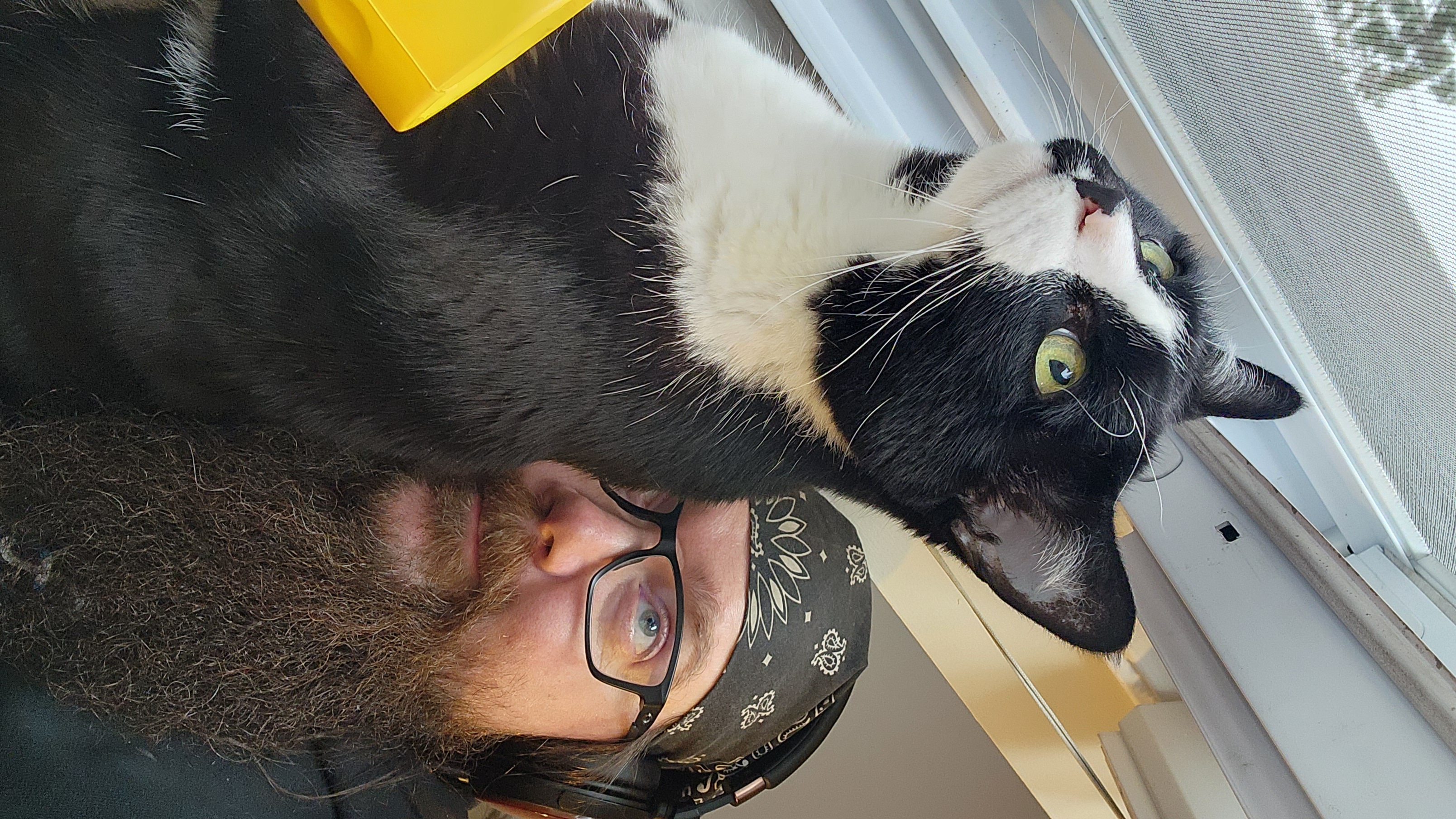 He loves watching his birbs Carl fixated on a birb outside