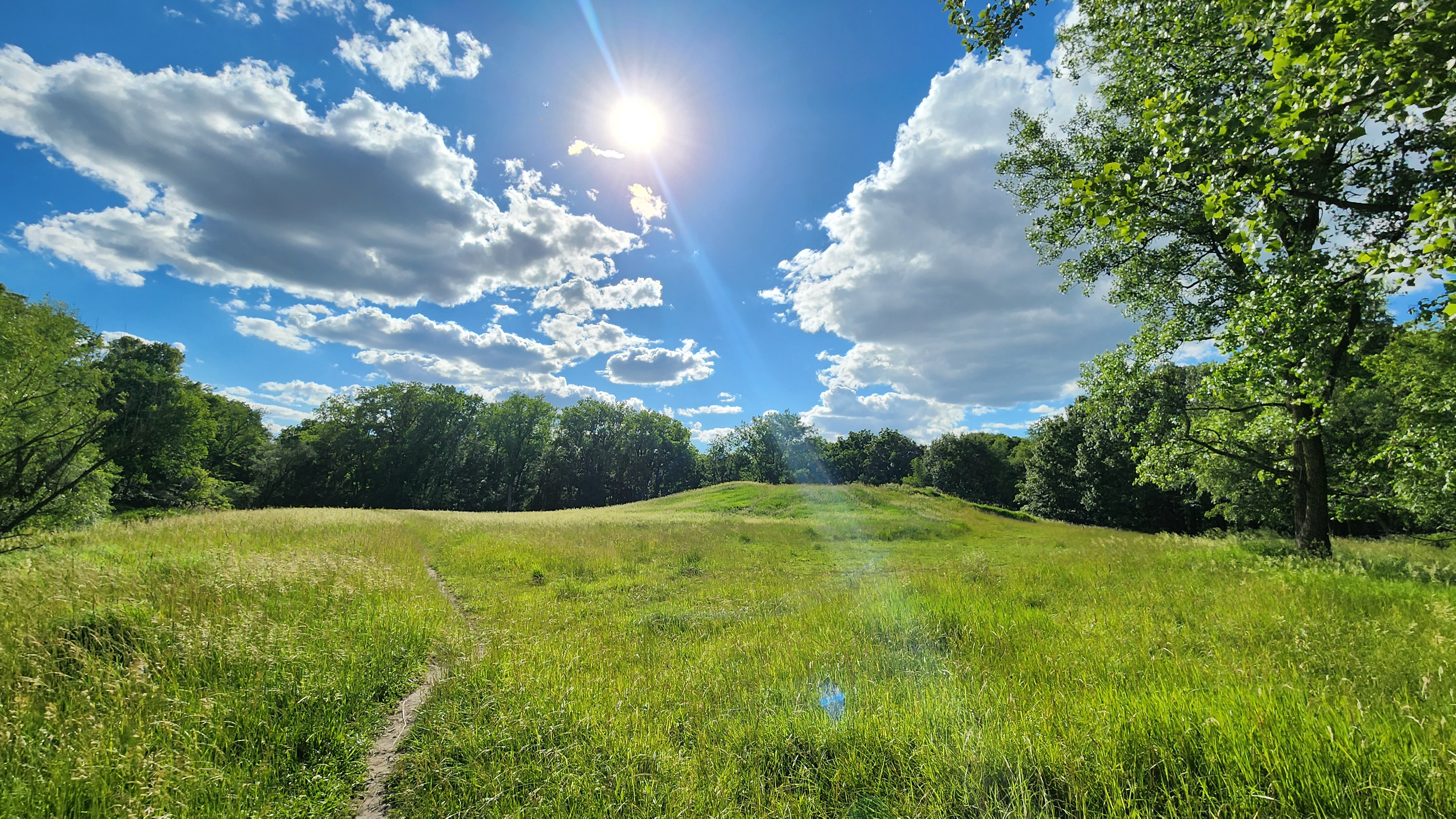 Schiller Woods South - Looking Northwest at Hidden Hill Schiller Woods South - Looking Northwest at Hidden Hill